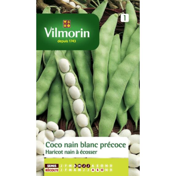 Haricot coco nain blanc précoce, nain à écosser, série 1 Vilmorin