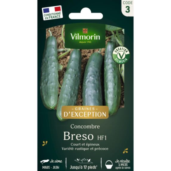 Graines Concombre Breso HF1 - VILMORIN