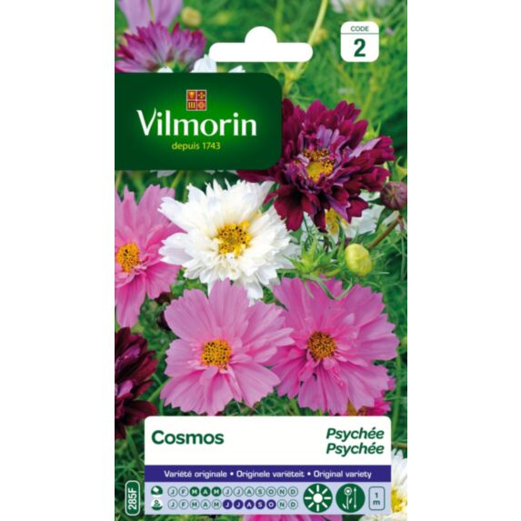 Graines Cosmos Picotée - VILMORIN