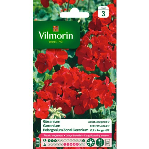 Graines Géranium Eclat Rouge HF2 - VILMORIN
