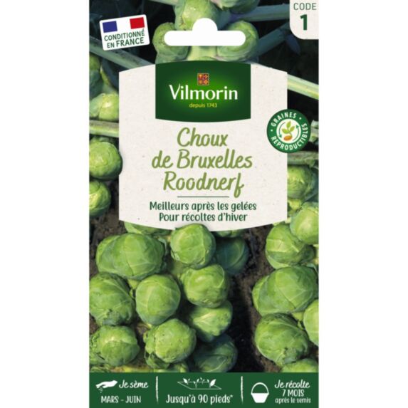 Graines Chou de Bruxelles Sanda - VILMORIN