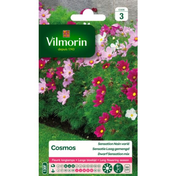 Graines Cosmos Sensation Nain Varié - VILMORIN