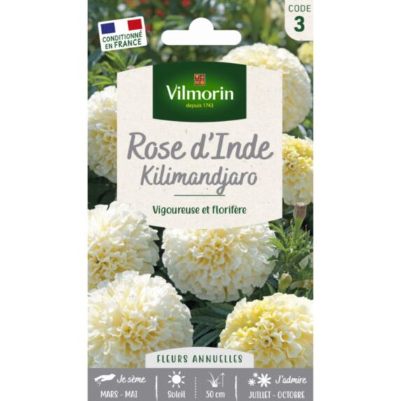 Graines Rose d'Inde Kilimandjaro - VILMORIN
