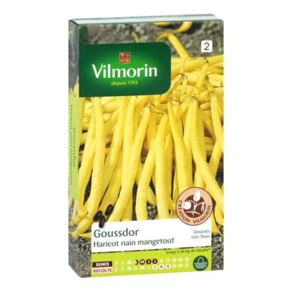 Graine Haricot nain mangetout Goussdor jaune - VILMORIN