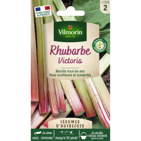 Graines Rhubarbe Victoria - VILMORIN