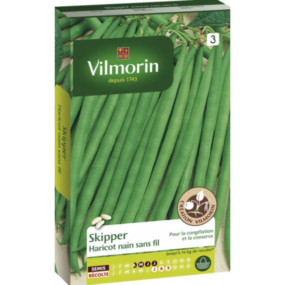Graines Haricot Nain Vert Skipper - VILMORIN