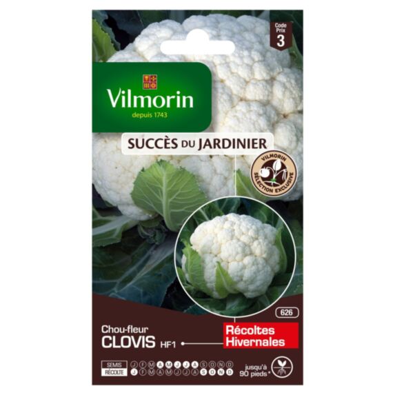 Graines Chou Fleur Clovis HF1 - VILMORIN