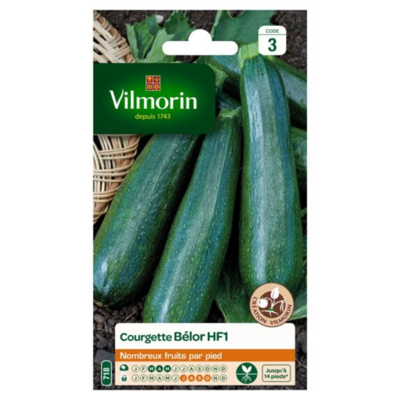 Graines Courgette Bélor HF1 - VILMORIN