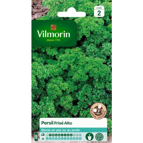 Graines Persil Frisé Vert Foncé Race Alto - VILMORIN