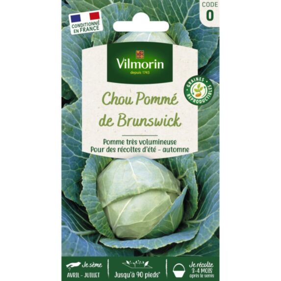 Graines Chou Blanc de Brunswick - VILMORIN
