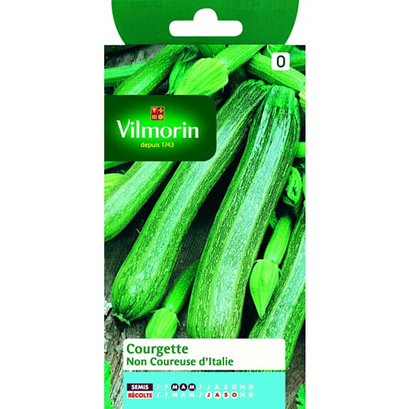 Graines Courgette Verte Non Coureuse d'Italie - VILMORIN