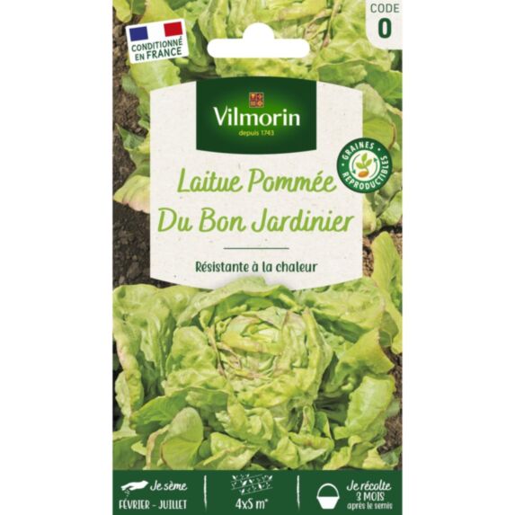Graines Laitue Pommée du Bon Jardinier - VILMORIN