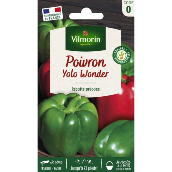 Graines Poivron Yolo Wonder - VILMORIN
