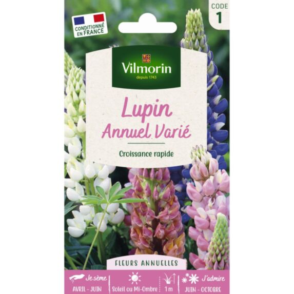 Graines Lupin Annuel Varié - VILMORIN