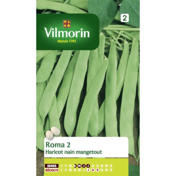 Graines Haricot Nain Vert Plat Roma 2 - VILMORIN