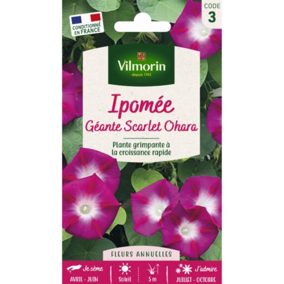 Graines Ipomée Géante Scarlett O'Hara - VILMORIN