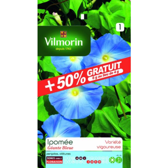 Graines Ipomée Géante Bleue - VILMORIN