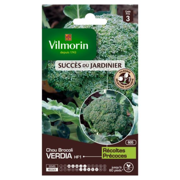 Graines Chou Brocoli Verdia HF1 - VILMORIN