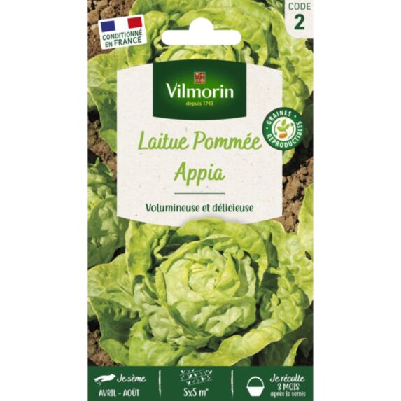 Graines Laitue Pommée Appia - VILMORIN