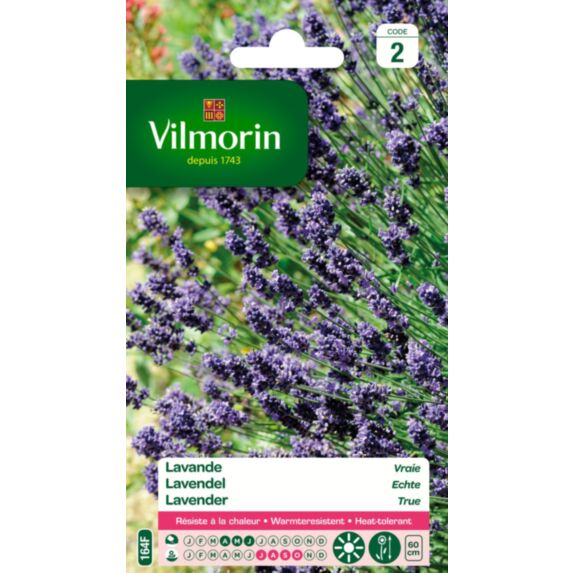 Graines Lavande Vraie - VILMORIN
