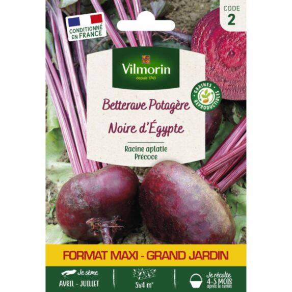 Graines Betterave Potagère Noire Plate d'Egypte - VILMORIN