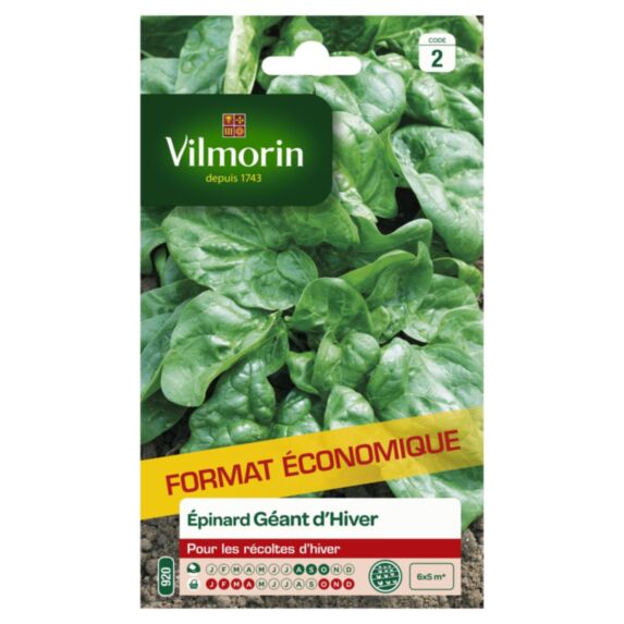 Graines Epinard Géant d'Hiver Grand Format - VILMORIN