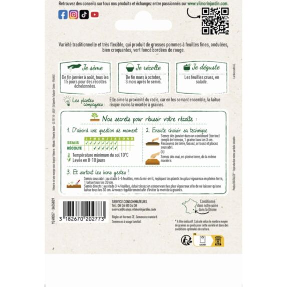 Graines Laitue Batavia Rouge Grenobloise Grand Format - VILMORIN