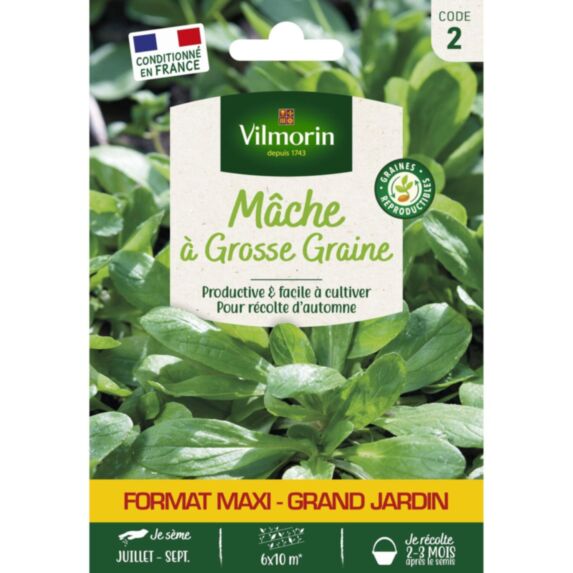 Graines Mâche à Grosse Graine Grand Format - VILMORIN