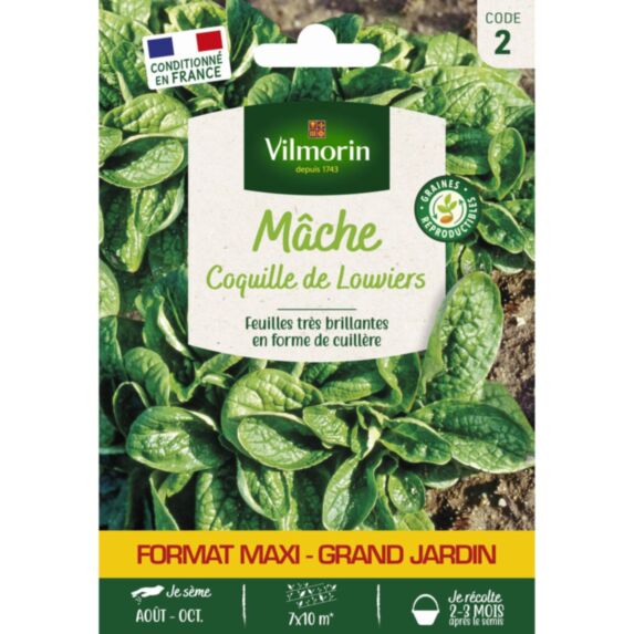 Graines Mâche Coquille de Louviers Grand Format - VILMORIN