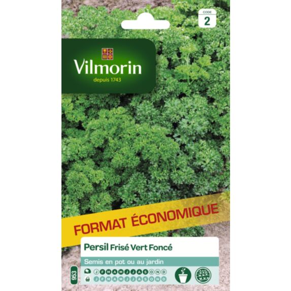 Graines Persil Frisé Vert Foncé - VILMORIN
