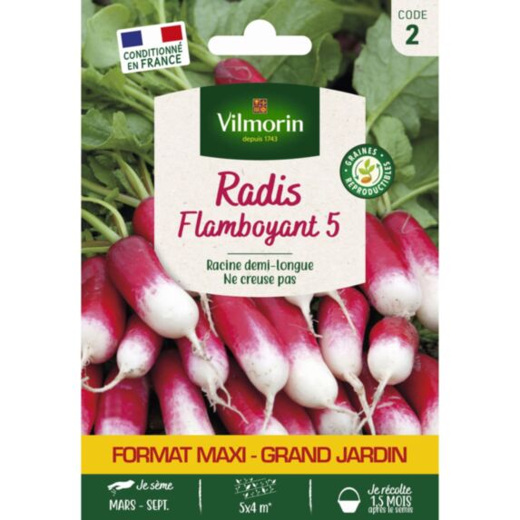 Graines Radis Flamboyant 5 Grand Format - VILMORIN