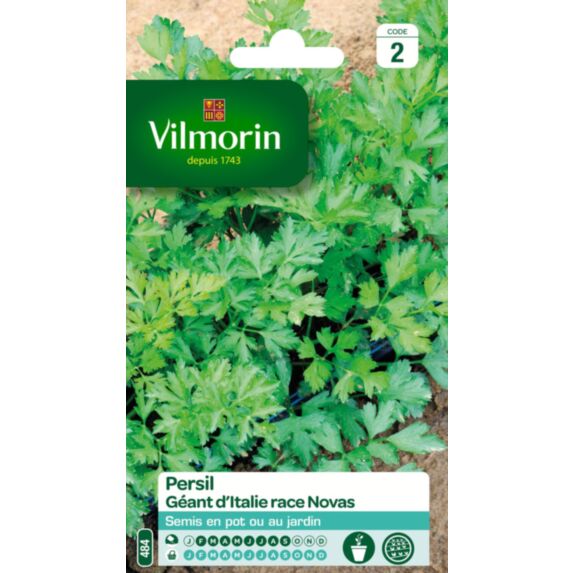 Persil géant Italie race Novas