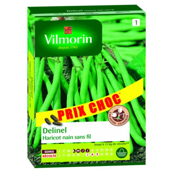 Graines Haricot Nain Vert Delinel - VILMORIN