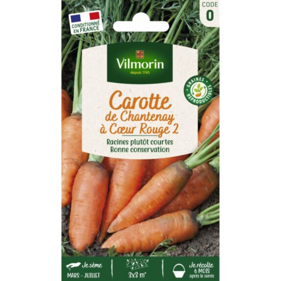 Graines Carotte de Chantenay à Cœur Rouge 2 - VILMORIN