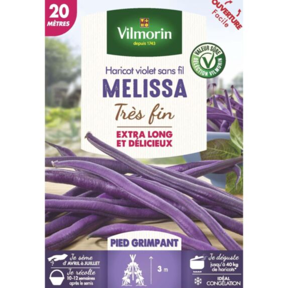 Graines Haricot Grimpant Violet Mélissa 20m - VILMORIN