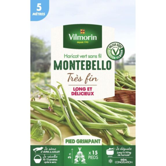 Graines Haricot Grimpant Vert Montebello 5m - VILMORIN