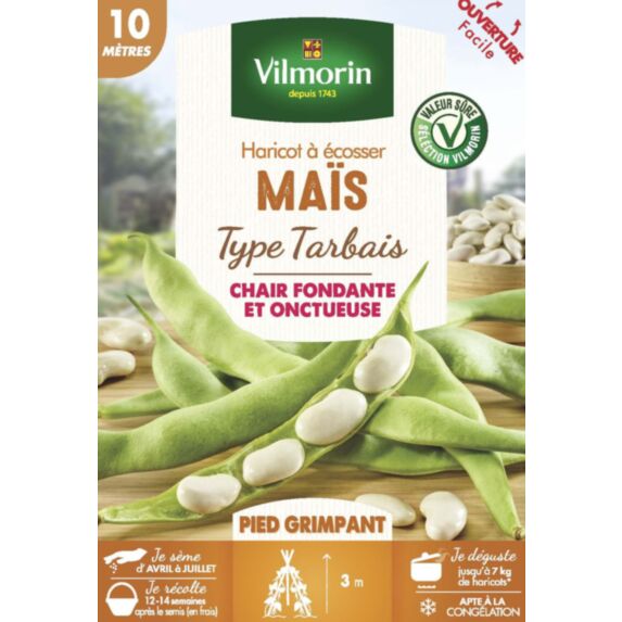 Graines Haricot Grimpant à Ecosser Maïs 10m - VILMORIN