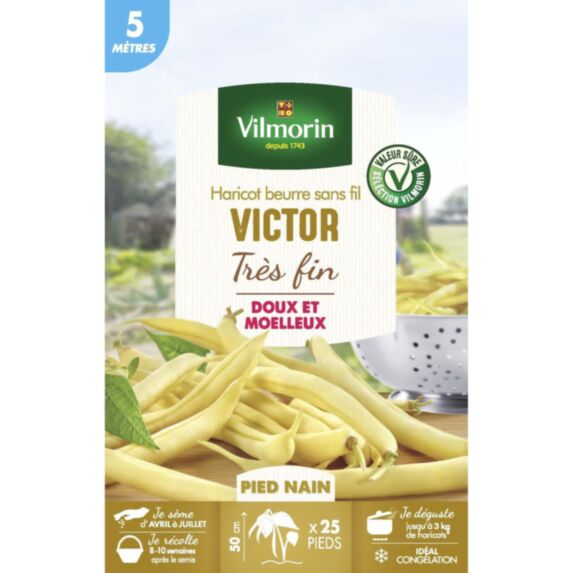 Graines Haricot Nain Beurre Victor 5m - VILMORIN