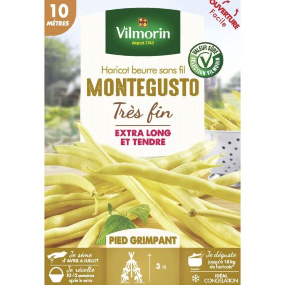 Graines Haricot Grimpant Beurre Monte Gusto 10m - VILMORIN