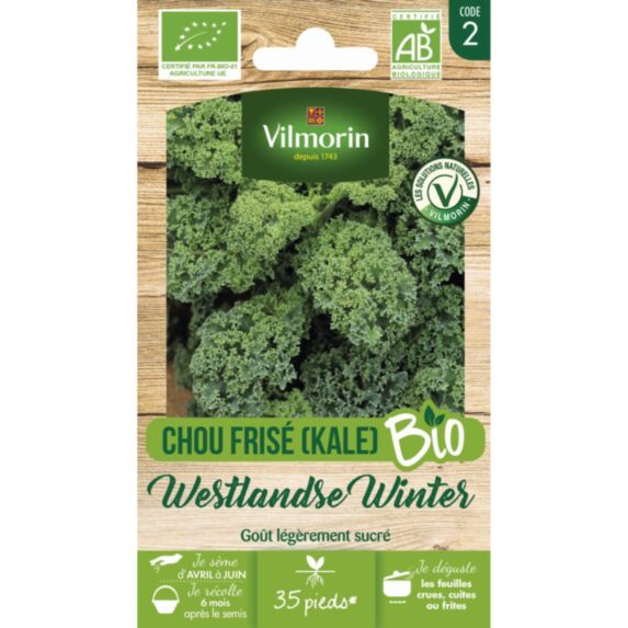 Graines Chou Frisé Westlandse Winter Bio - VILMORIN