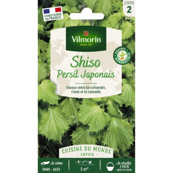 Graines Shiso Vert - VILMORIN
