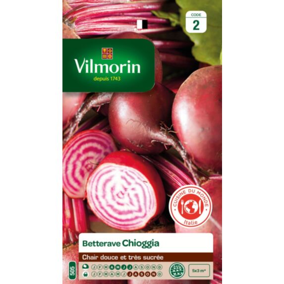 Graines Betterave Potagère Chioggia - VILMORIN
