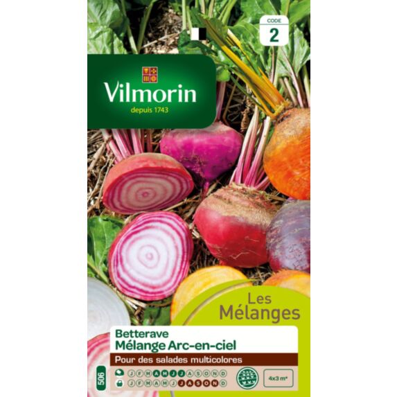 Graines Betterave Potagère Arc en Ciel - VILMORIN