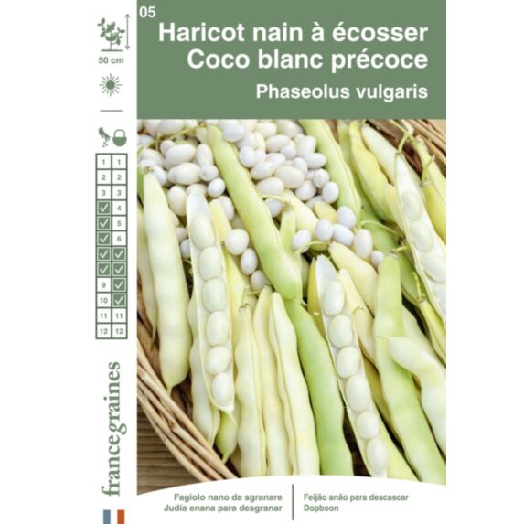Graines Haricot Nain à Ecosser Coco Blanc Précoce - FRANCE GRAINES
