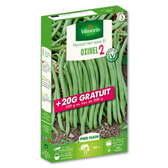 Haricot nain vert sans fil Oxinel 2 +20g gratuit - VILMORIN