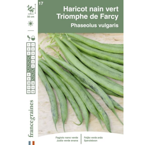 Graines Haricot Nain Vert Triomphe de Farcy - FRANCE GRAINES