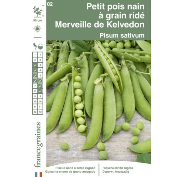 Graines Petit Pois Nain Merveille de Kelvedon - FRANCE GRAINES