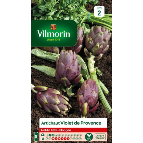 Graines Artichaut Violet de Provence - VILMORIN
