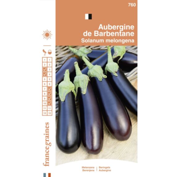 Graines Aubergine de Barbentane - FRANCE GRAINES
