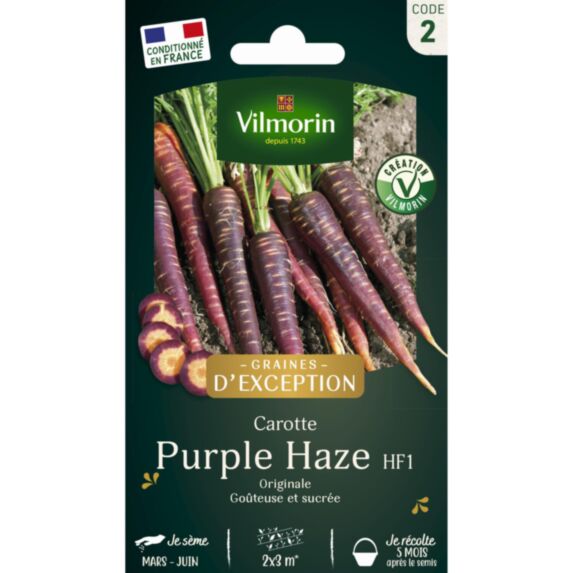 Graines Carotte Violette Purple Haze HF1 - VILMORIN